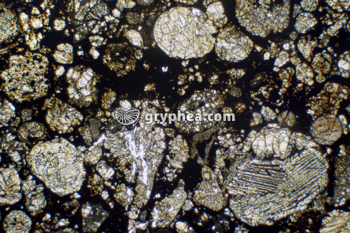 Météorite LPNA x6 - gryphea.com